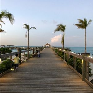 Meet your Posher, Winnie